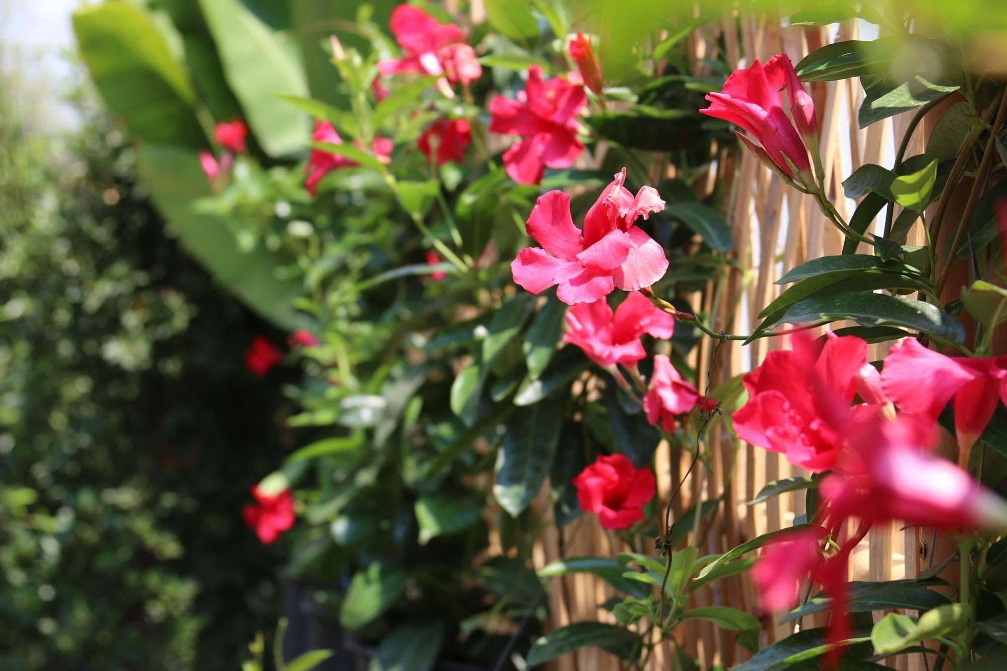 Joyful Thai Boutique Hotel Chiang Mai Exterior photo